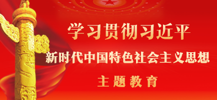 学习贯彻习近平新时代中国特色社会主义思想主题教育